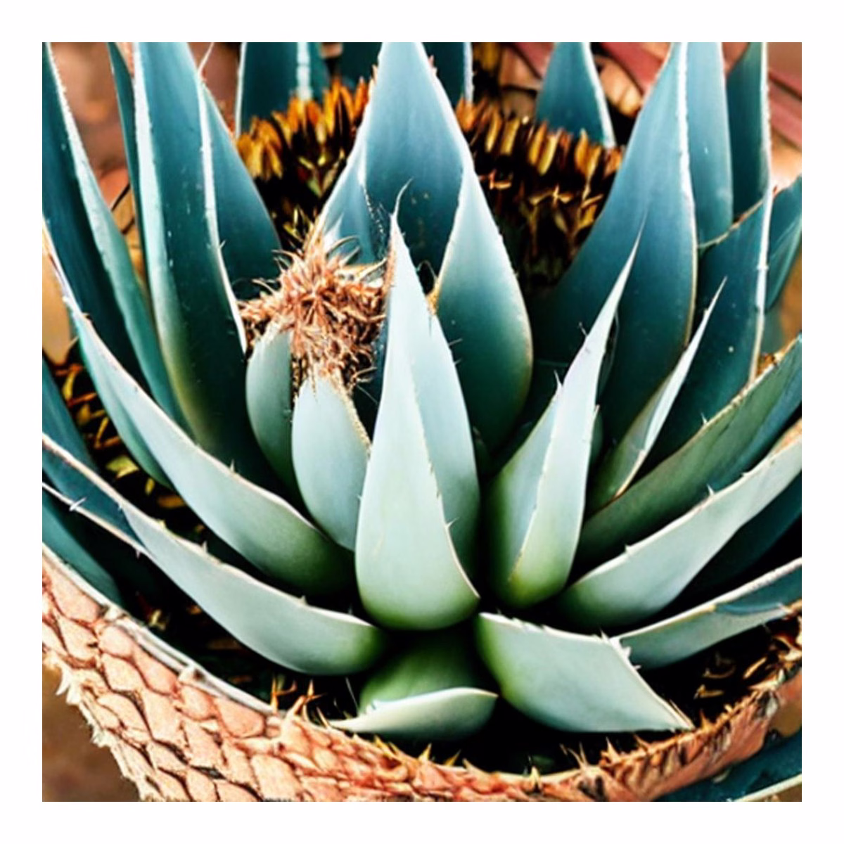 Agave Nectar Substitute