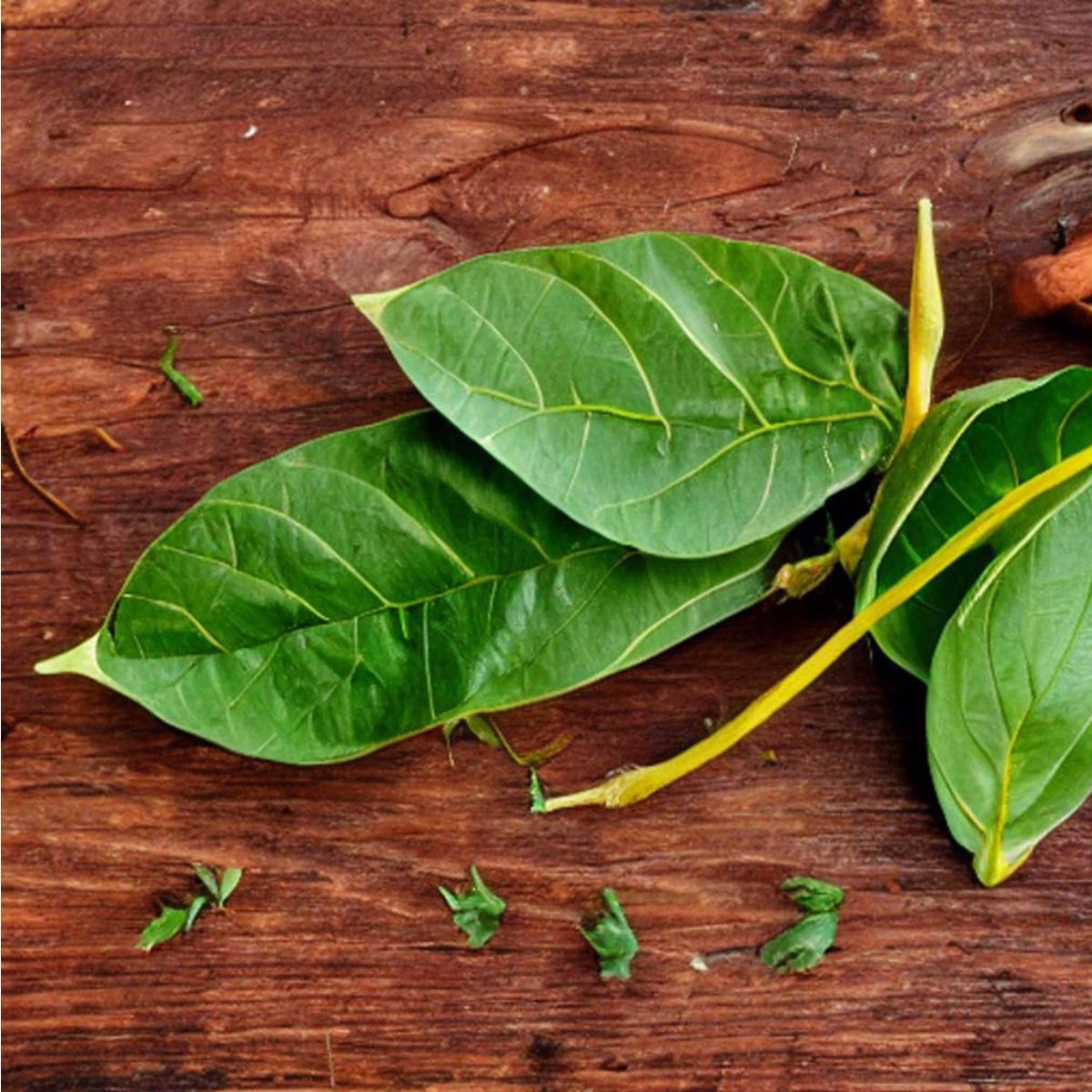 Bay Leaf Substitute - Image 1