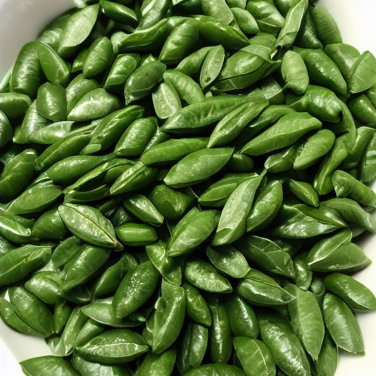 Bay Leaf Substitute - Image 2